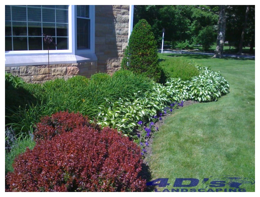 4ds Landscaping & Home Improvement - Photo 6
