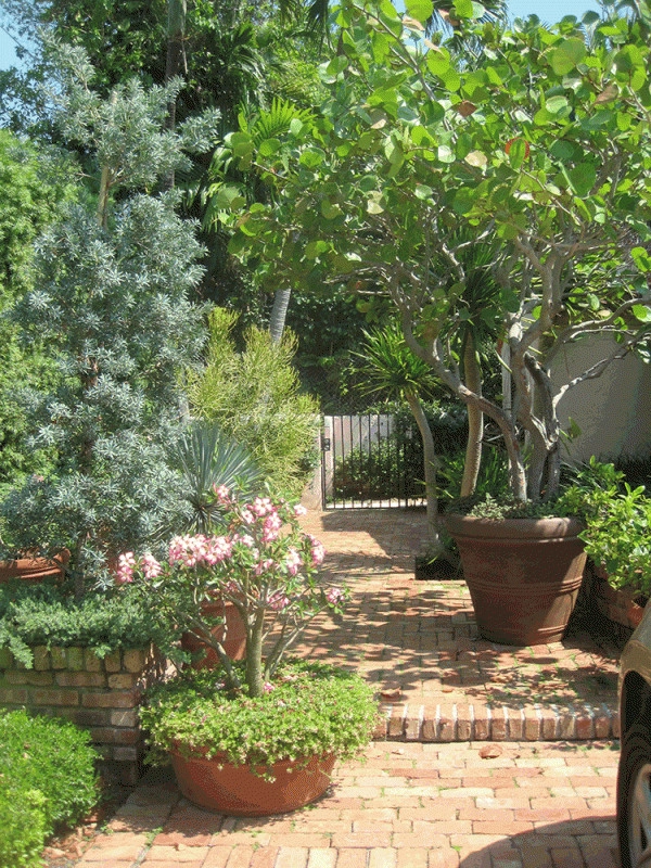 Mediterranean Elegance by Fernando Wong Outdoor Living Design - Photo 4