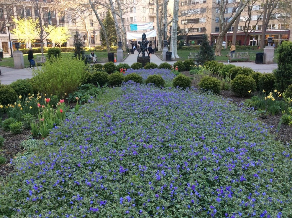 Rittenhouse Square Park by Fine Garden Creations - Photo 8