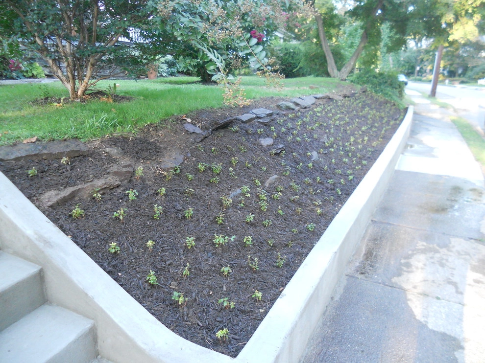 Project Photos by Fine Garden Creations - Photo 9