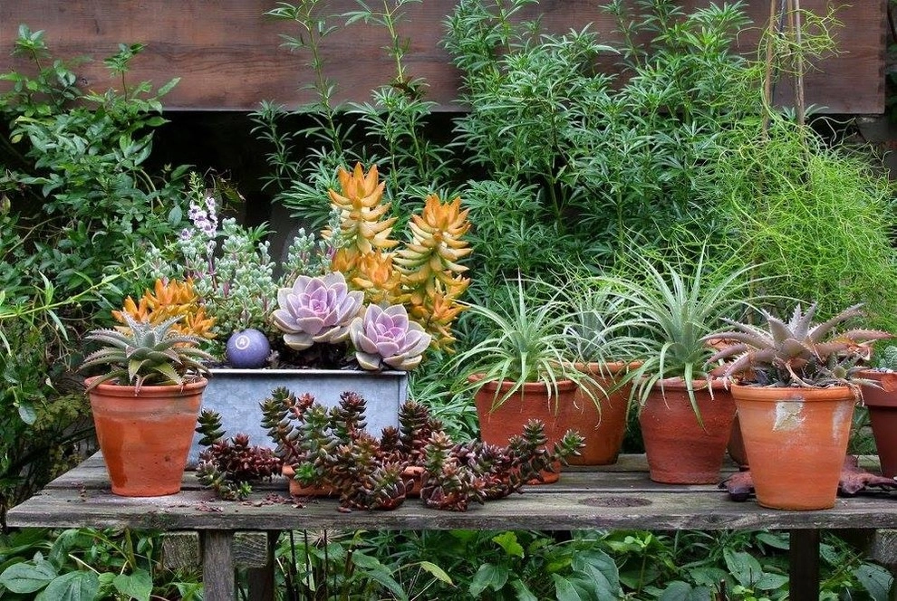 Project Photos by Fine Garden Creations - Photo 6