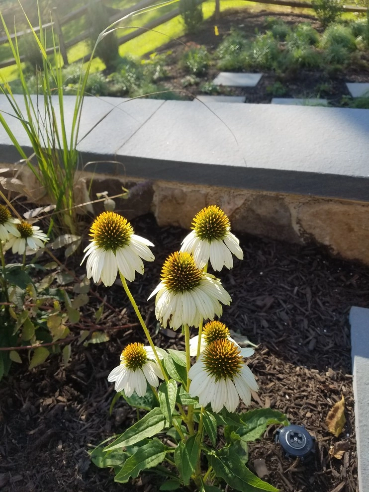 Malvern, PA by Fine Garden Creations - Photo 3