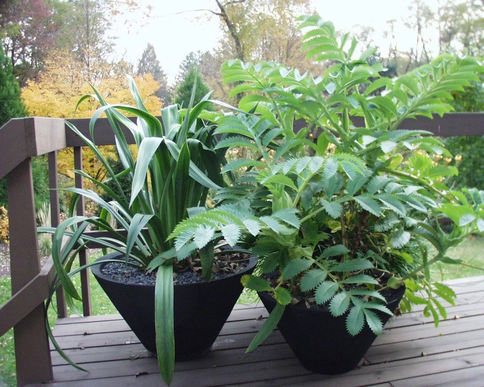 Container Gardening by Fine Garden Creations - Photo 15