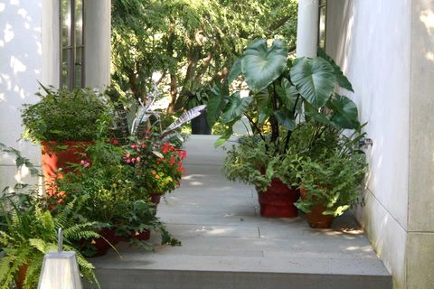 Container Gardening by Fine Garden Creations - Photo 10