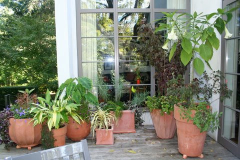 Container Gardening by Fine Garden Creations - Photo 3