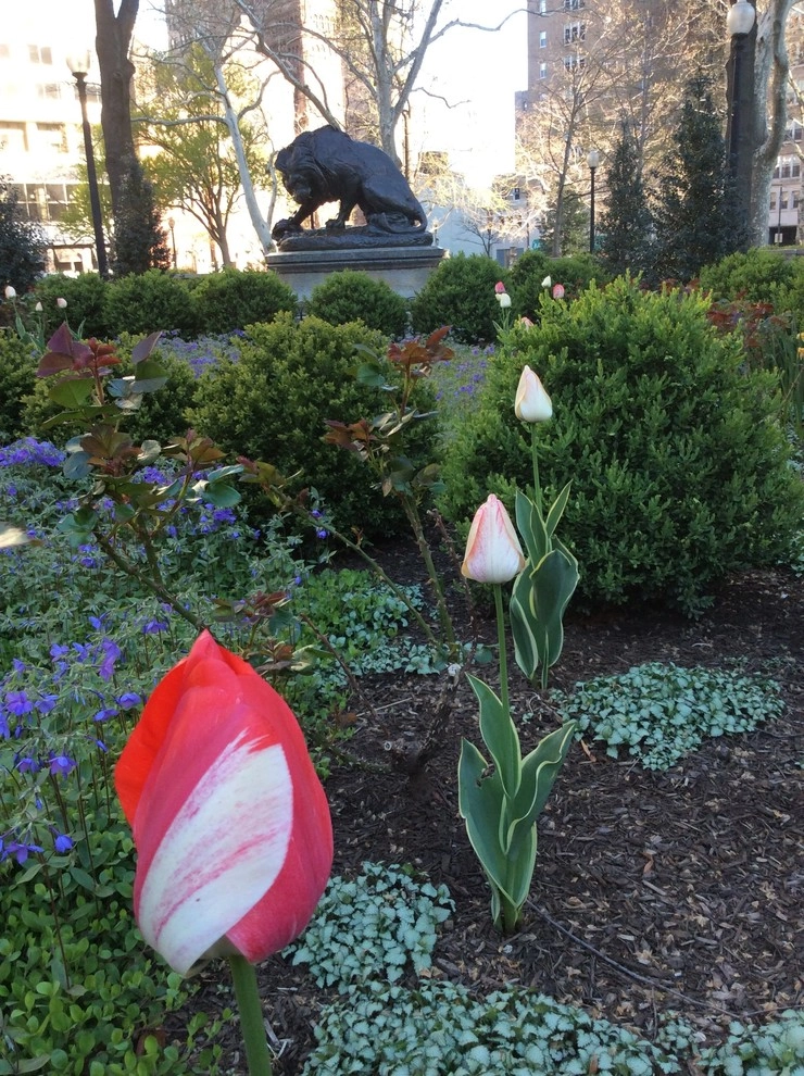Rittenhouse Square Park by Fine Garden Creations - Photo 5