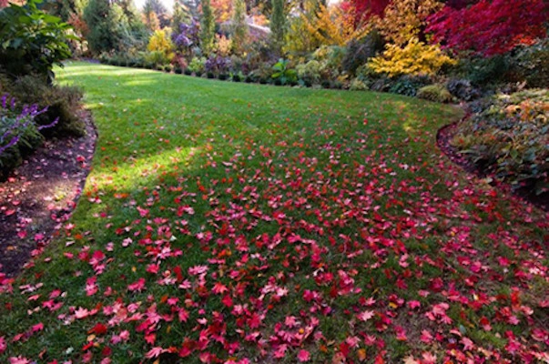 Project Photos by Fine Garden Creations - Photo 16
