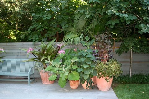 Container Gardening by Fine Garden Creations - Photo 19
