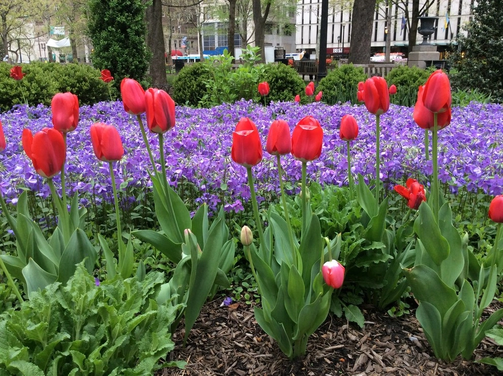 Rittenhouse Square Park by Fine Garden Creations - Photo 6