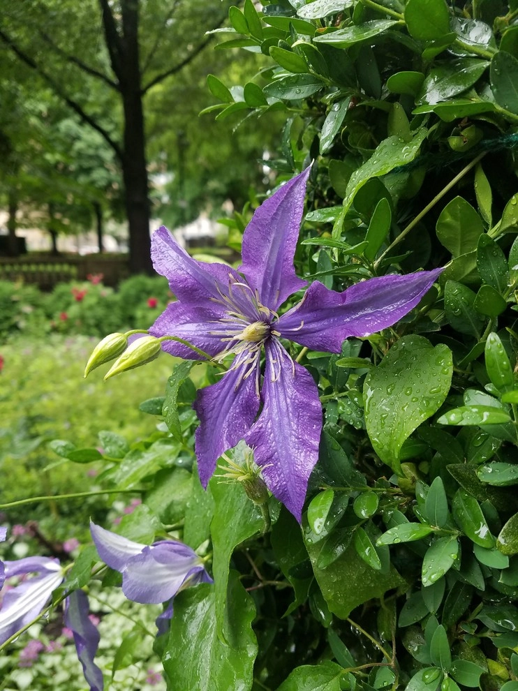 Fine Garden Creations - Photo 5