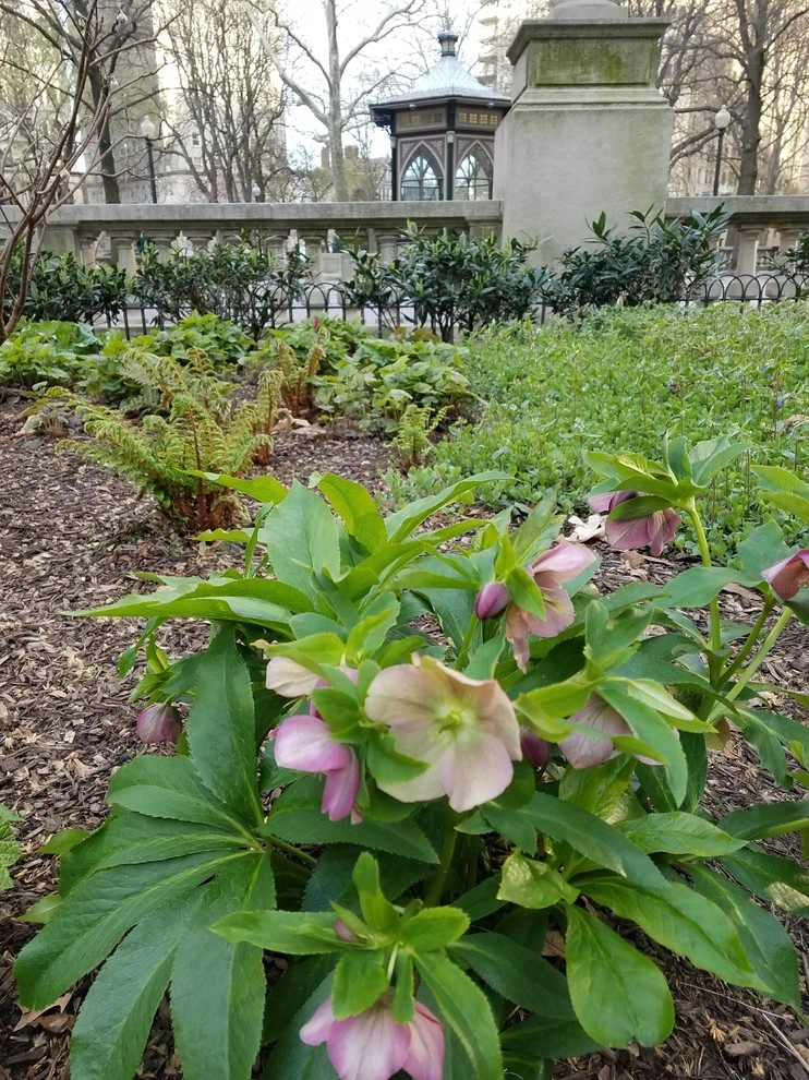 Fine Garden Creations - Photo 10