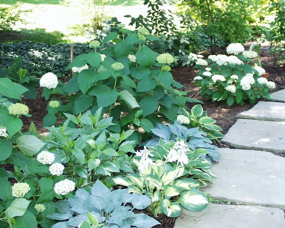 Merion Station Garden Installation by Fine Garden Creations - Photo 9