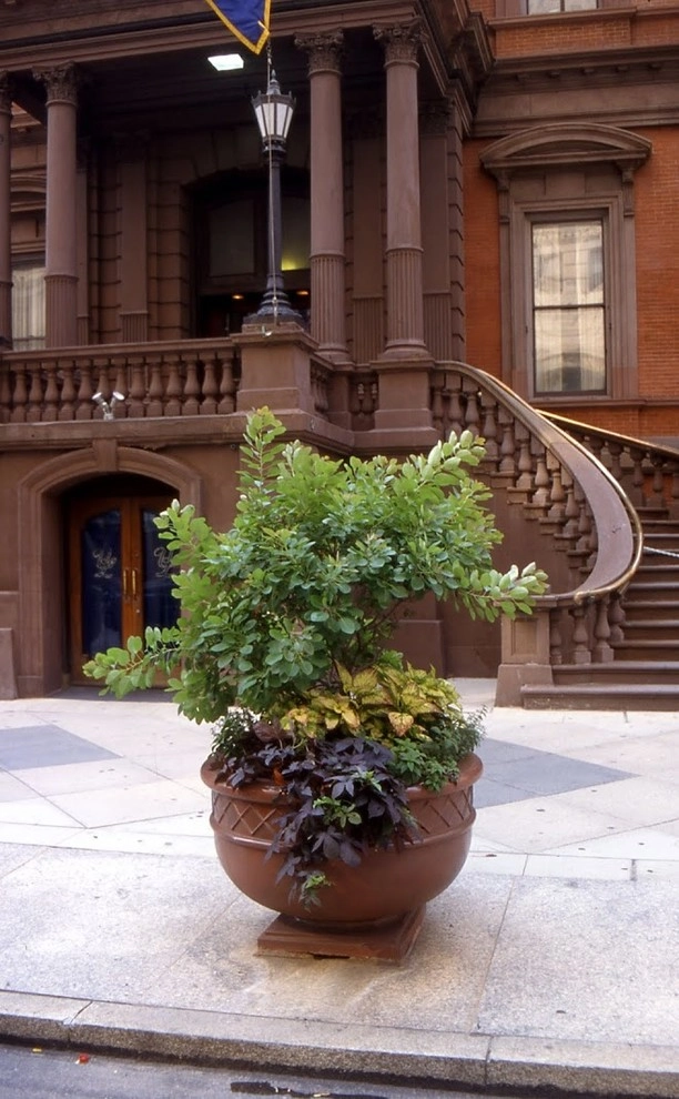 Container Gardening by Fine Garden Creations - Photo 13