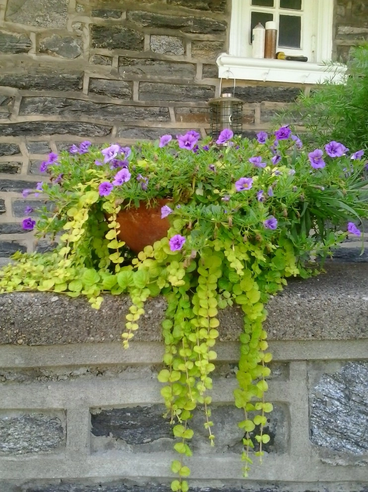 Container Gardening by Fine Garden Creations - Photo 16