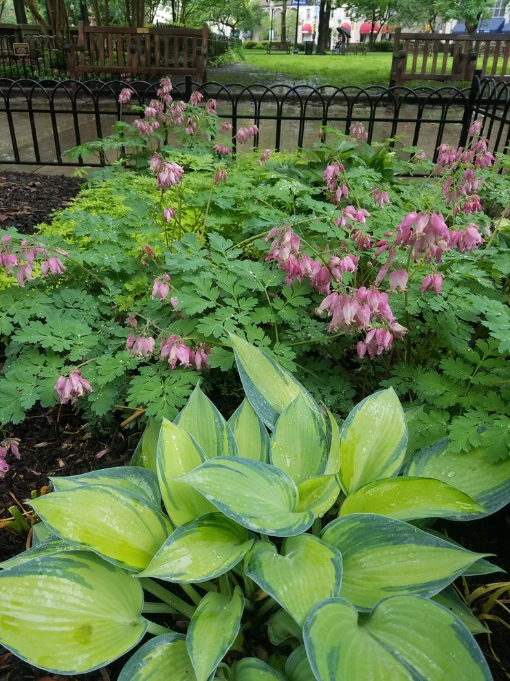 Rittenhouse Square Park by Fine Garden Creations - Photo 3