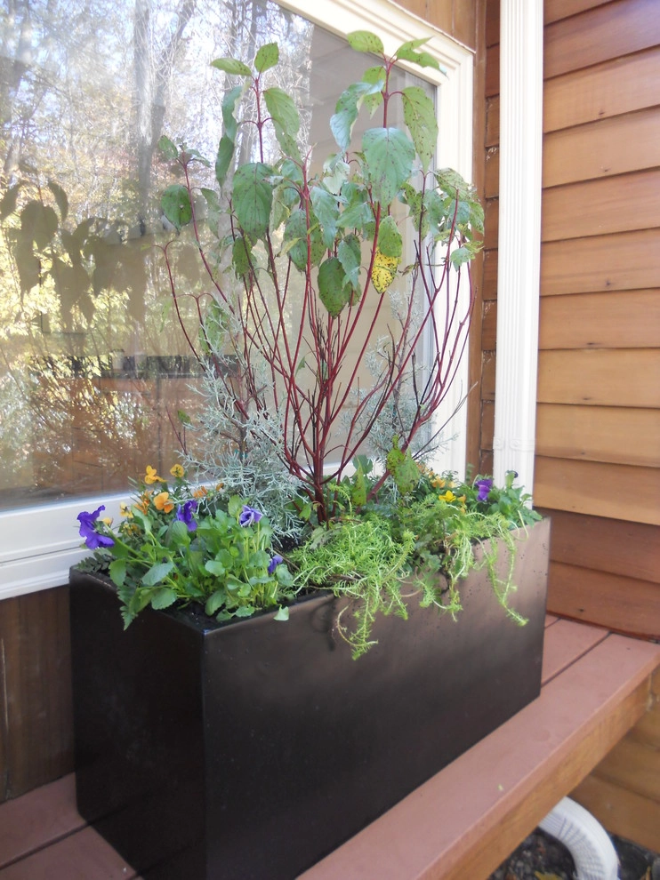Container Gardening by Fine Garden Creations - Photo 7