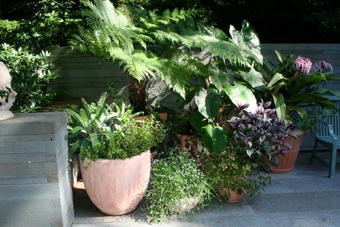 Container Gardening by Fine Garden Creations - Photo 18