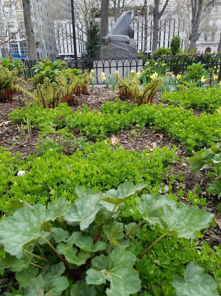 Rittenhouse Square Park by Fine Garden Creations - Photo 7