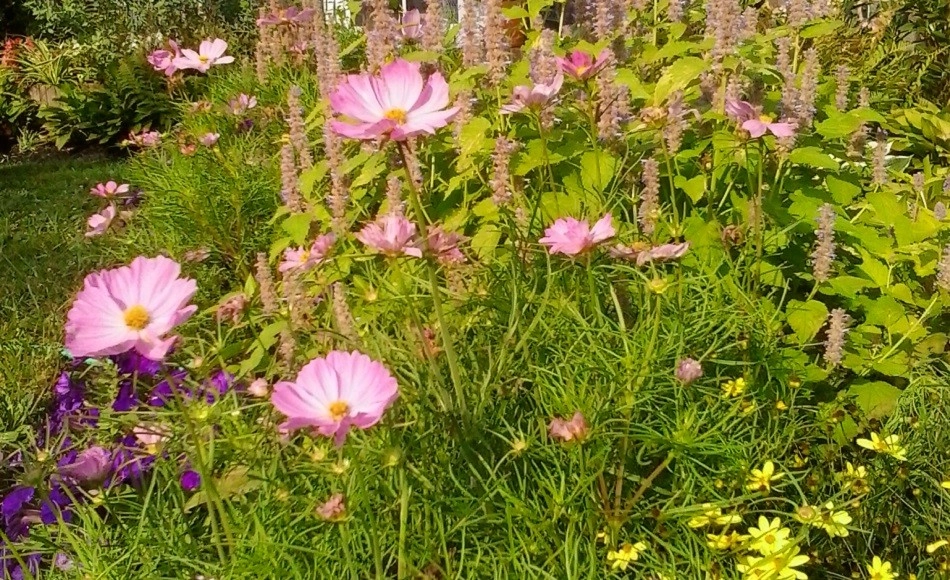 Project Photos by Fine Garden Creations - Photo 11
