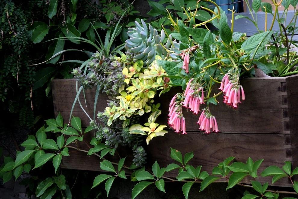Container Gardening by Fine Garden Creations - Photo 25