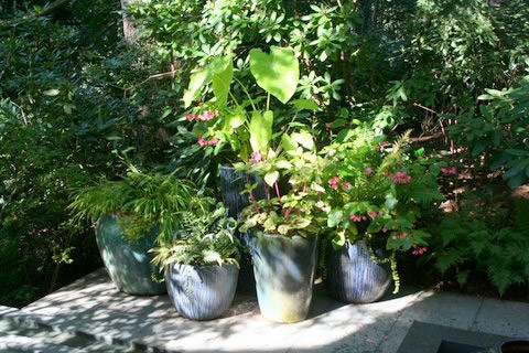 Container Gardening by Fine Garden Creations - Photo 2