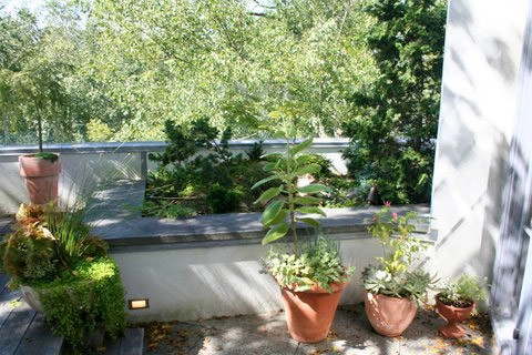 Container Gardening by Fine Garden Creations - Photo 4