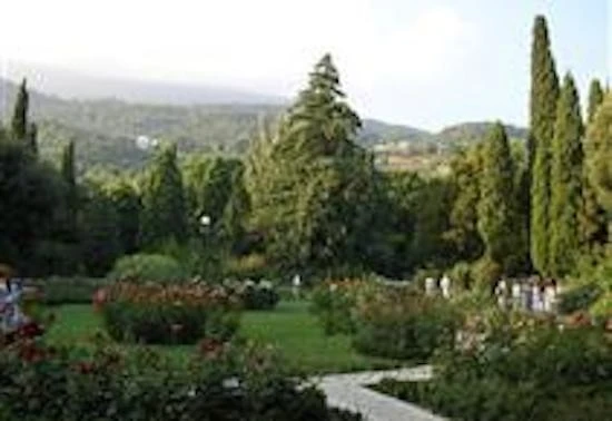 Accent Landscaping And Lawn - Photo 6