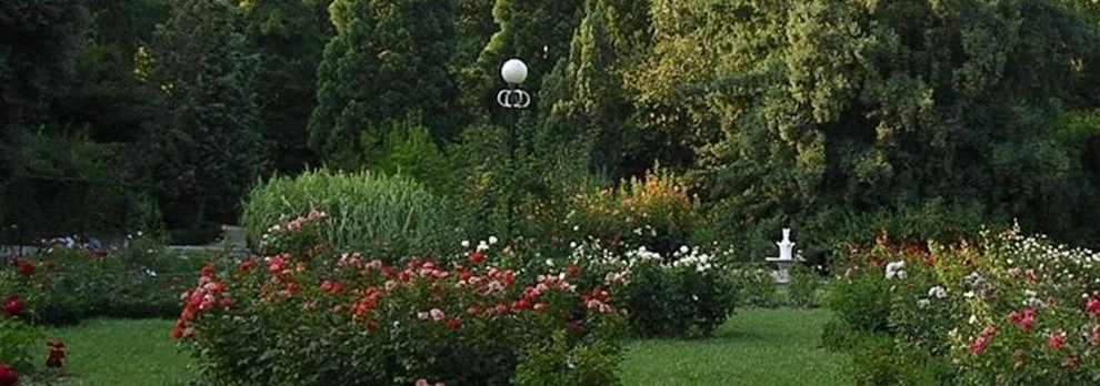 Accent Landscaping And Lawn - Photo 4
