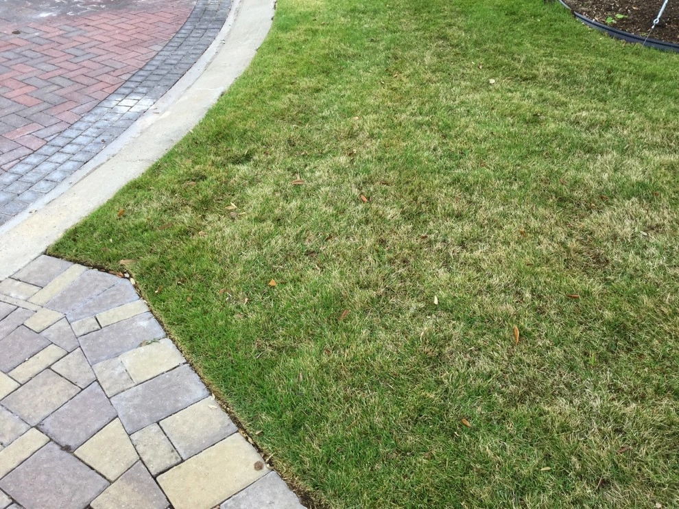Custom landscape design- July 2015 by Flair Garden Designs, Inc. - Photo 4