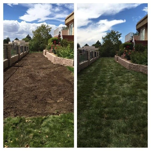 Affordable Landscape Maintenance - Photo 3