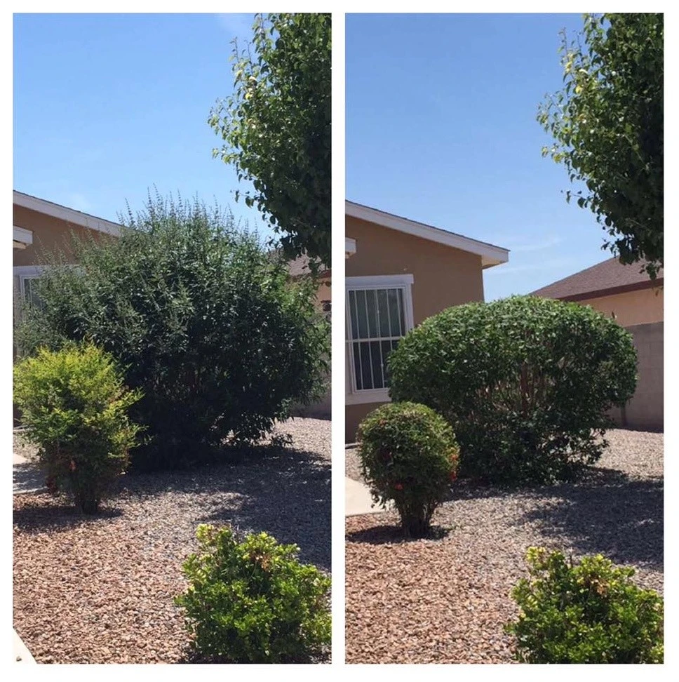Affordable Landscape Maintenance - Photo 2