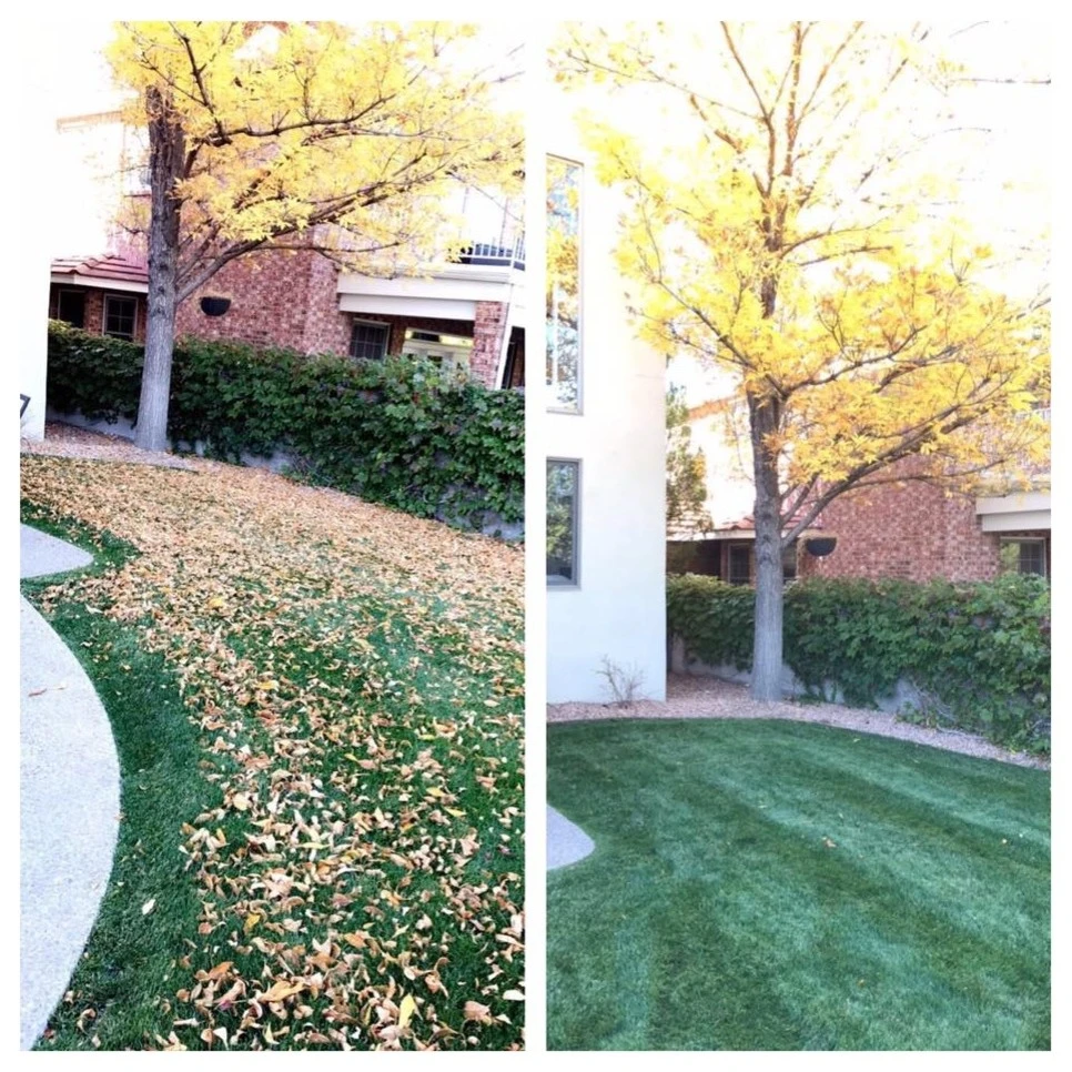 Affordable Landscape Maintenance - Photo 7