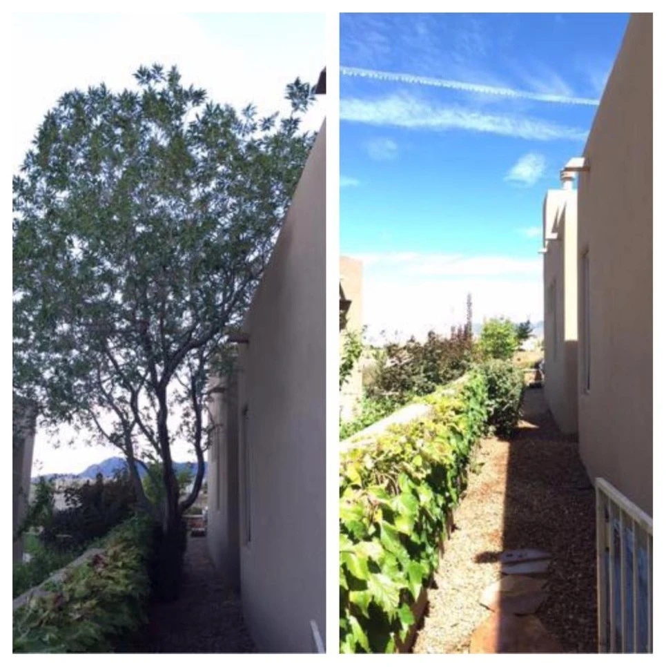 Affordable Landscape Maintenance - Photo 6