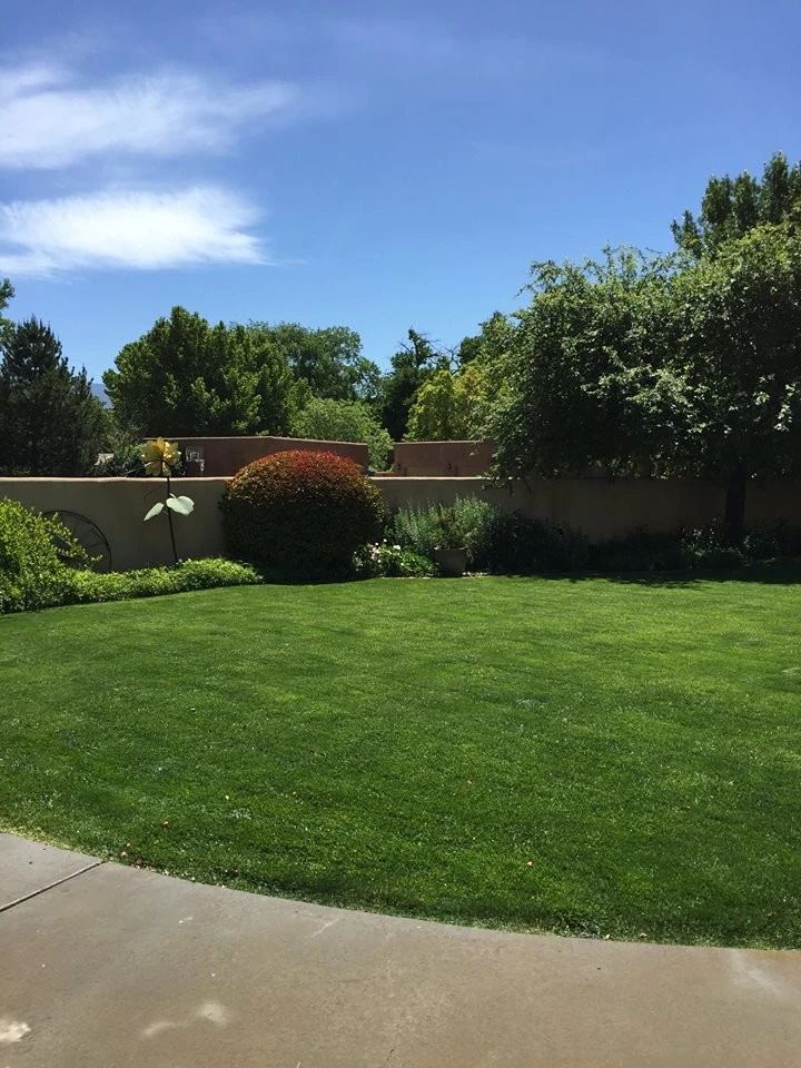 Affordable Landscape Maintenance - Photo 4