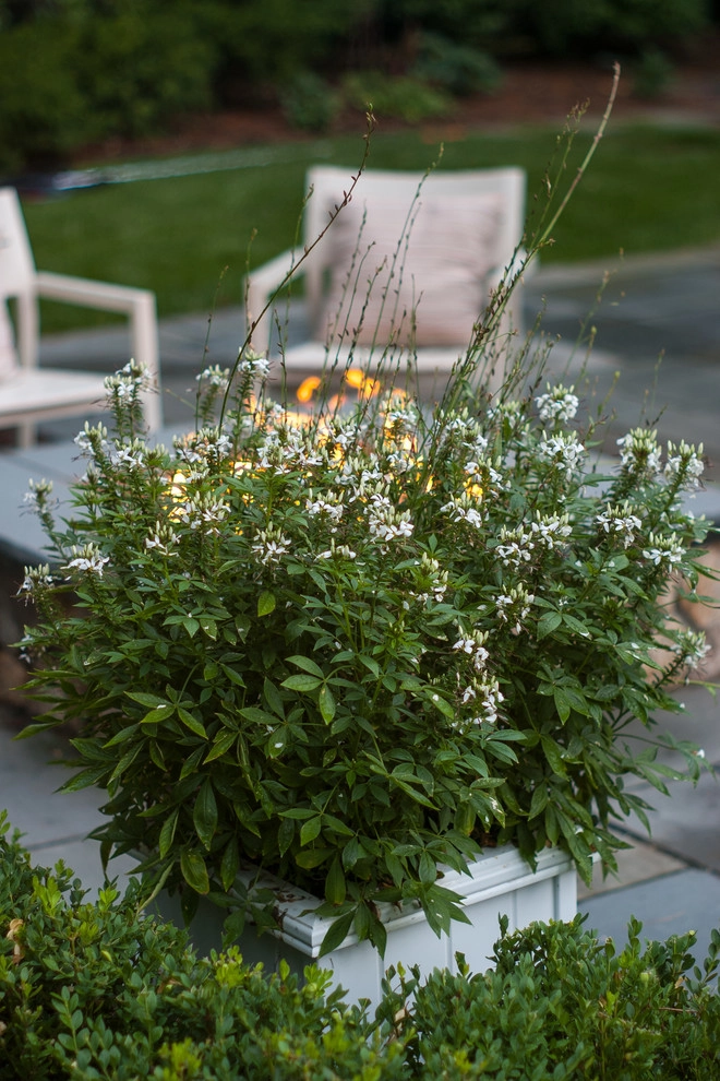 Needham Pool and Patio by A Blade Of Grass - Photo 9
