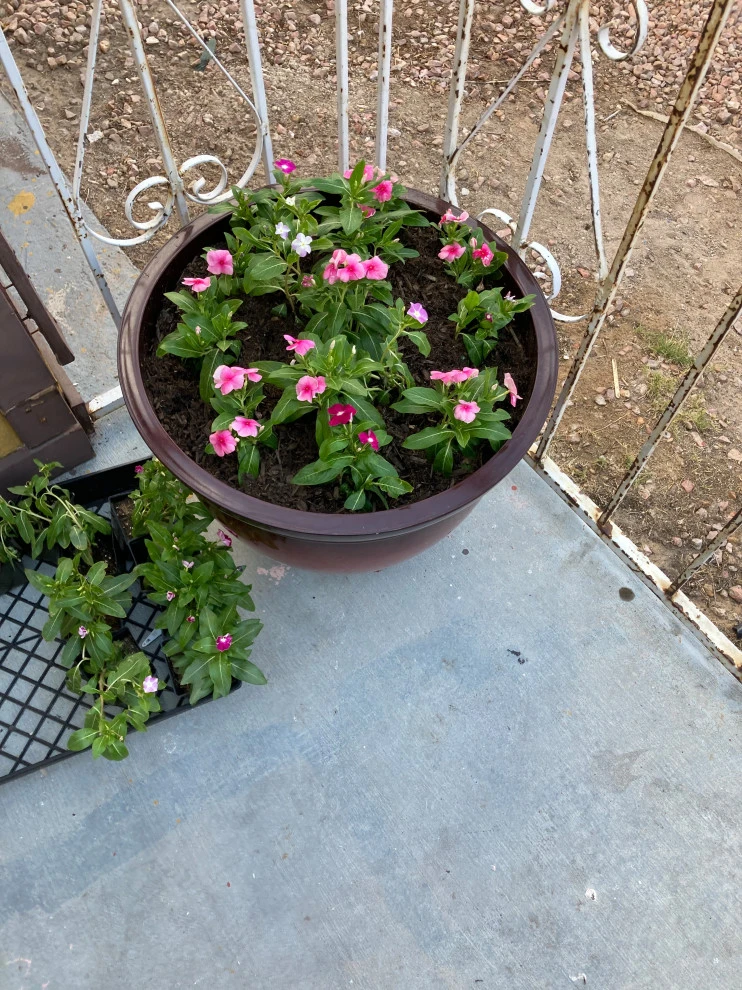 Ainaras Maintenance Services - Photo 3