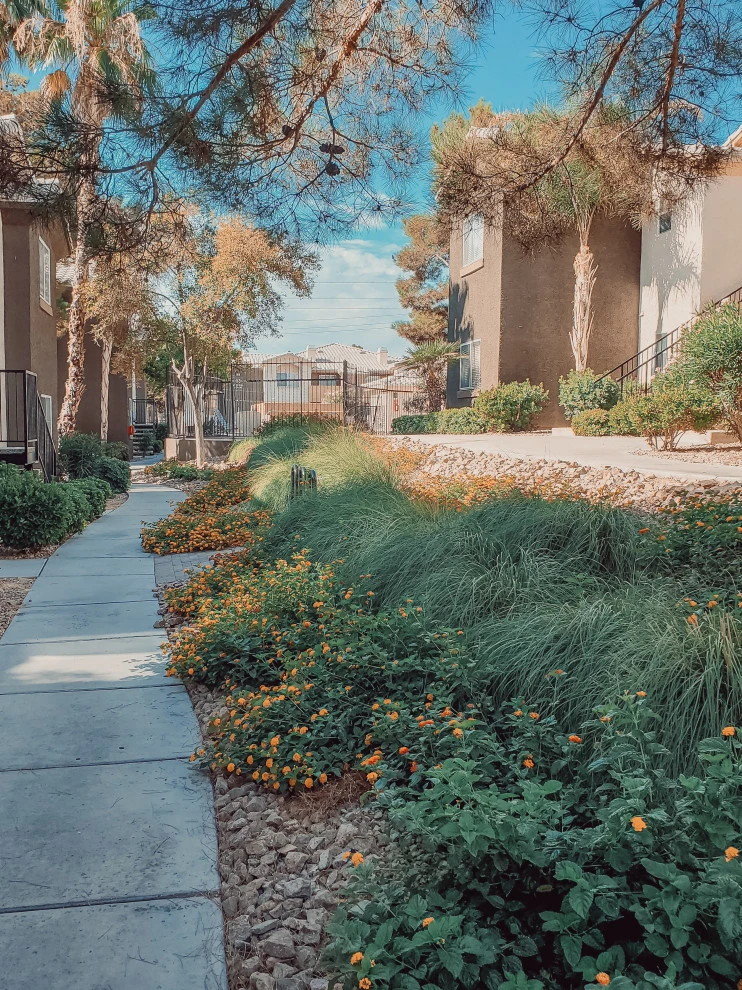SOLANA by Aldana Studios LLC - Photo 5