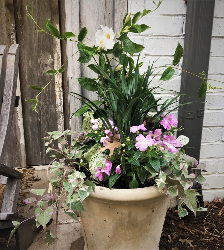 Farmhouse Revival by Flora Distinctive Landscapes - Photo 9