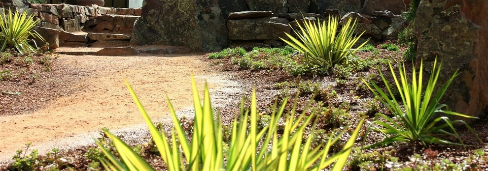 Inspired Mediterranean by Flora Distinctive Landscapes - Photo 6