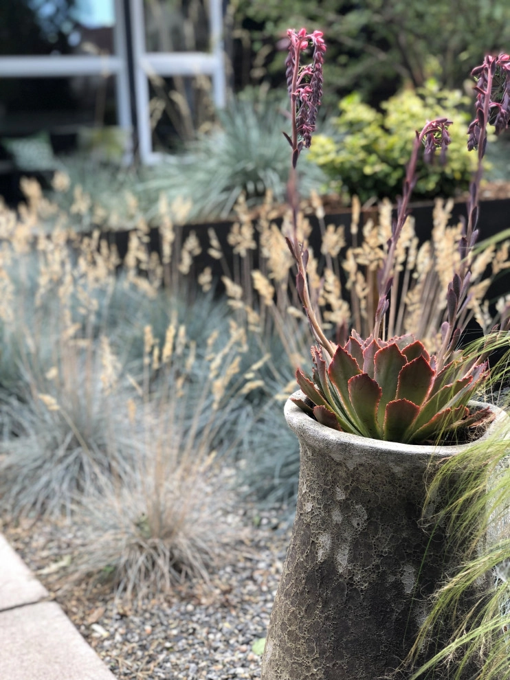 Mini Modern by Flora Distinctive Landscapes - Photo 4