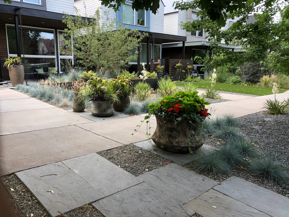 Mini Modern by Flora Distinctive Landscapes - Photo 12
