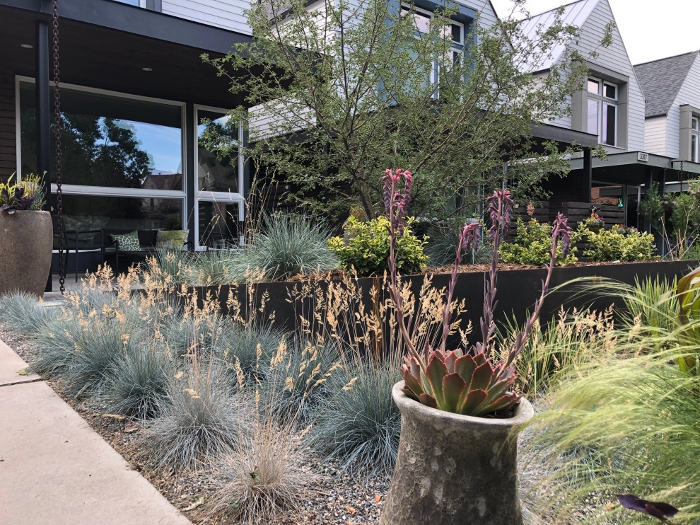 Mini Modern by Flora Distinctive Landscapes - Photo 5