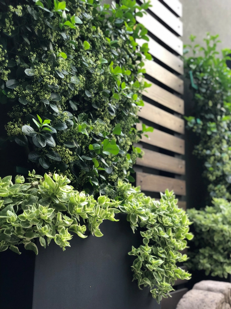 Mini Modern by Flora Distinctive Landscapes - Photo 3
