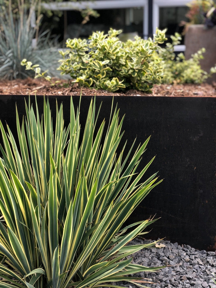 Mini Modern by Flora Distinctive Landscapes - Photo 2