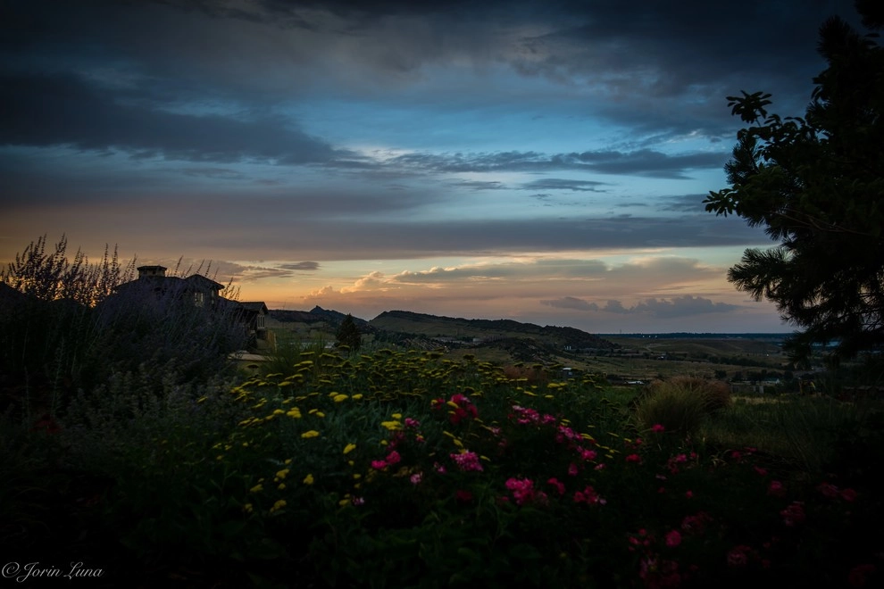 Garden of Splendor by Flora Distinctive Landscapes - Photo 13
