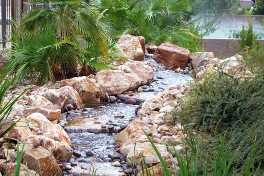 Pools by Alpha Landscape, LLC - Photo 7
