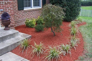 Alpha Omega Enterprises LLC - Photo 2