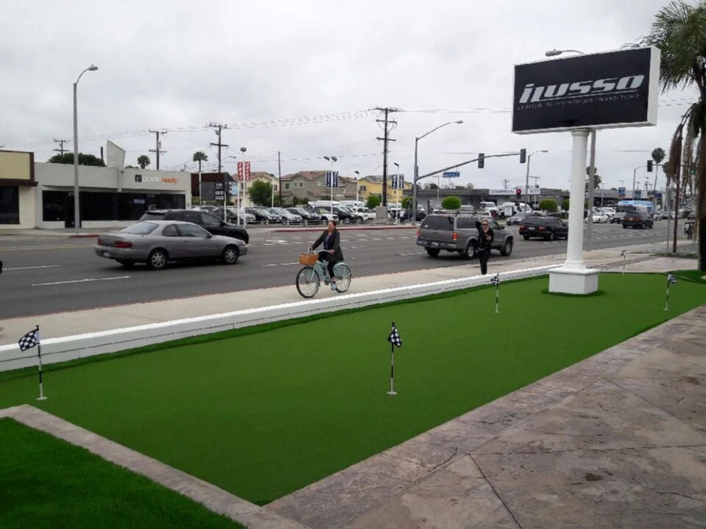 Our Project Gallery by Always Green Synthetic Grass, Inc. - Photo 13