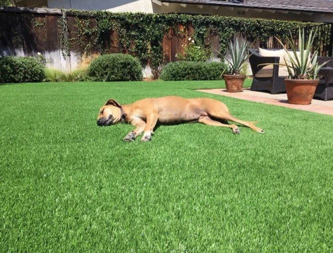 Always Green Synthetic Grass, Inc. - Photo 10