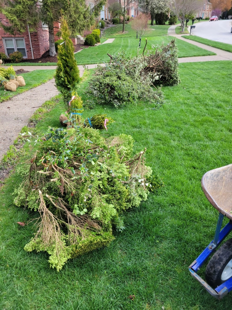 Alberto Alavez Professional Lawn Services LLC 13 by Alberto Alavez Professional Lawn Services LLC - Photo 8